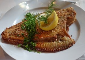 plaice, fish, flatfish-2796910.jpg